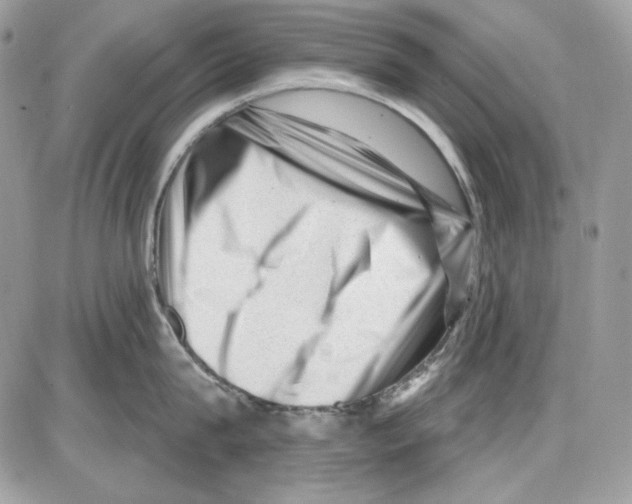 X0000085800815200704131919