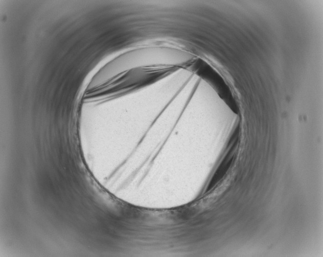 X0000085800816200704131919