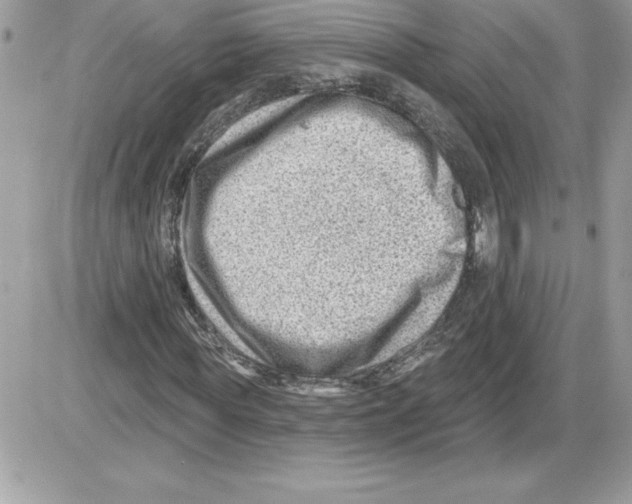 X0000085800819200704131918