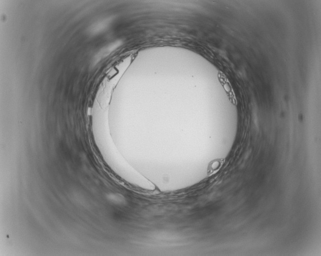 X0000085800820200704131918