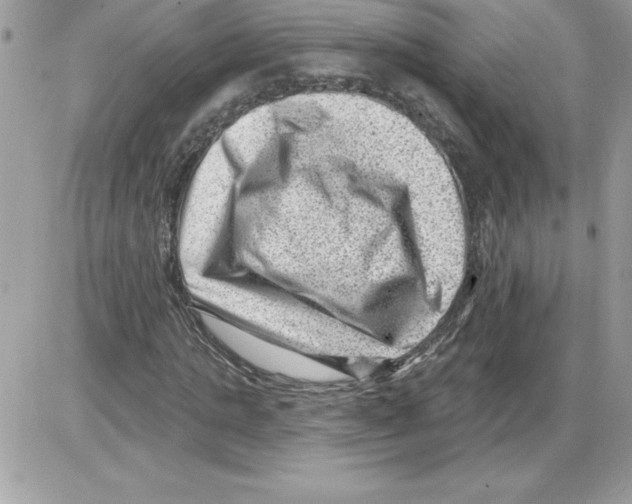 X0000085800821200704131918