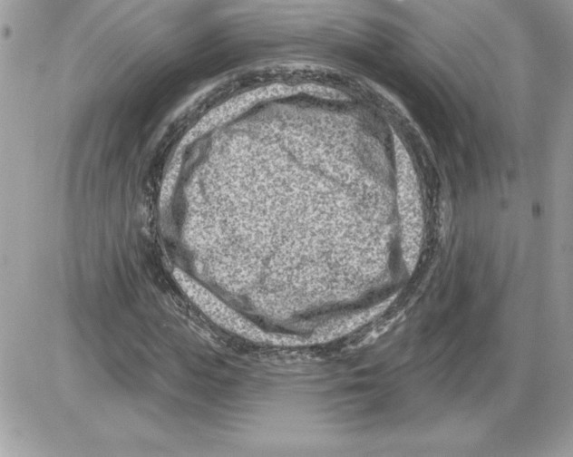 X0000085800823200704131918