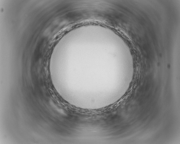 X0000085800824200704131918