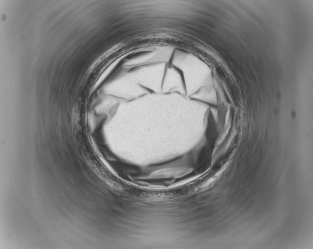 X0000085800826200704131918