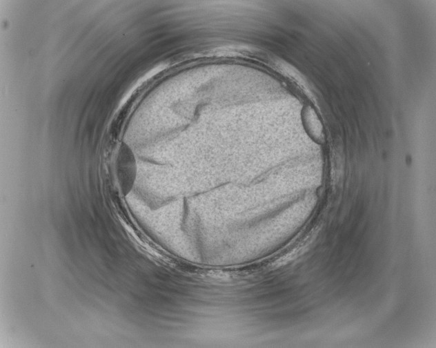 X0000085800827200704131918