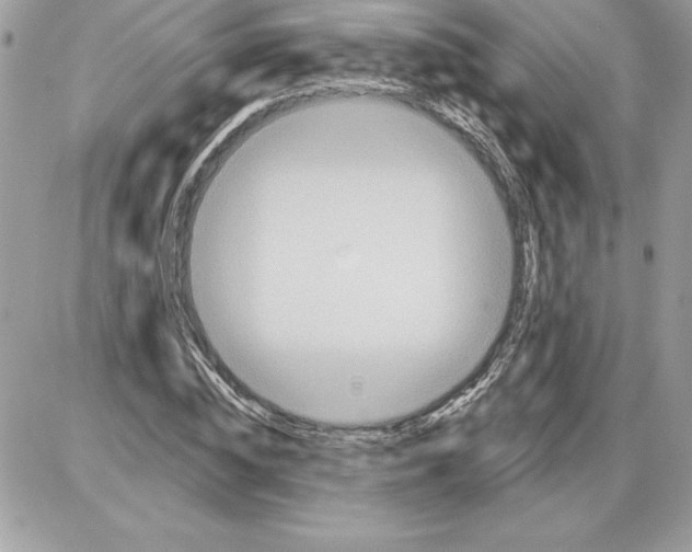 X0000085800828200704131918