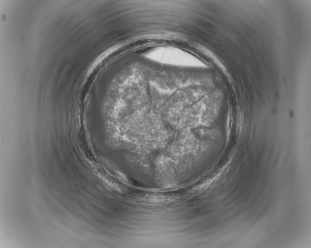 X0000085800829200704131919