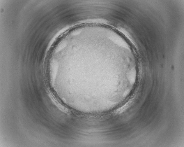 X0000085800832200704131919