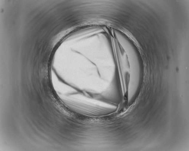 X0000085800834200704131919