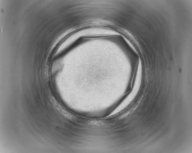 X0000085800835200704131919