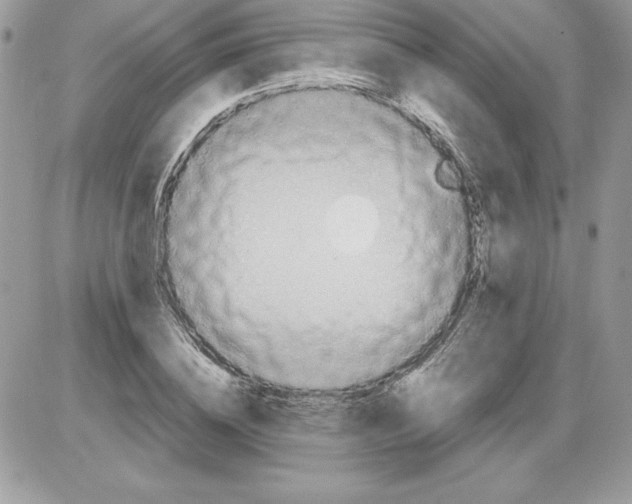 X0000085800836200704131919