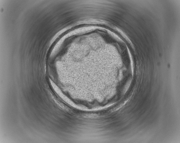 X0000085800837200704131919