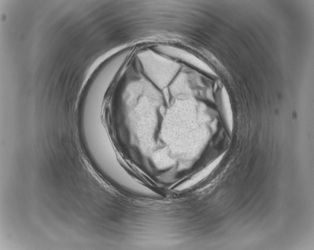 X0000085800838200704131919