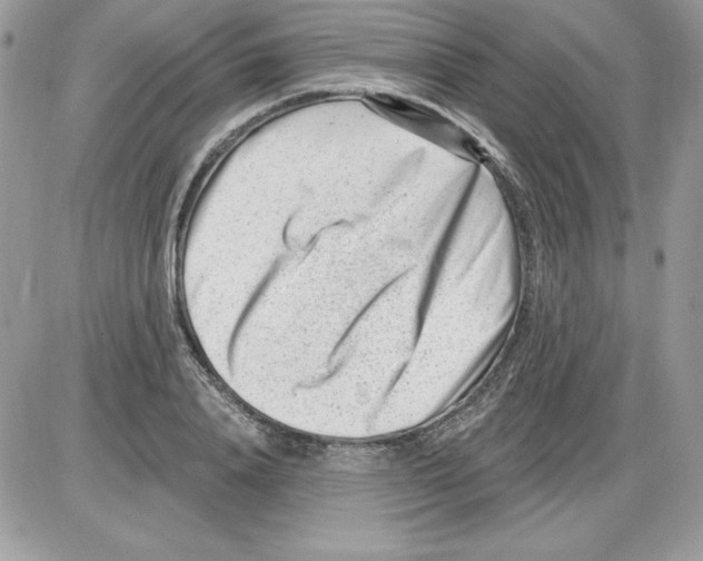 X0000085800840200704131919