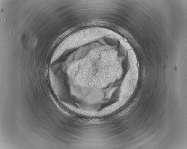 X0000085800841200704131919