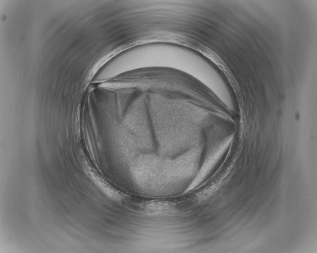 X0000085800842200704131919