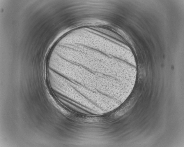 X0000085800843200704131919