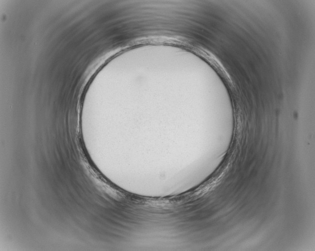 X0000085800844200704131919