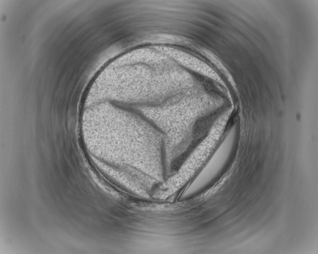 X0000085800845200704131919