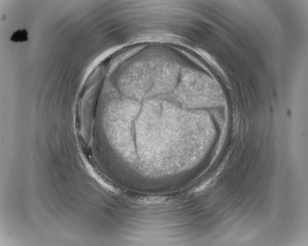 X0000085800846200704131919