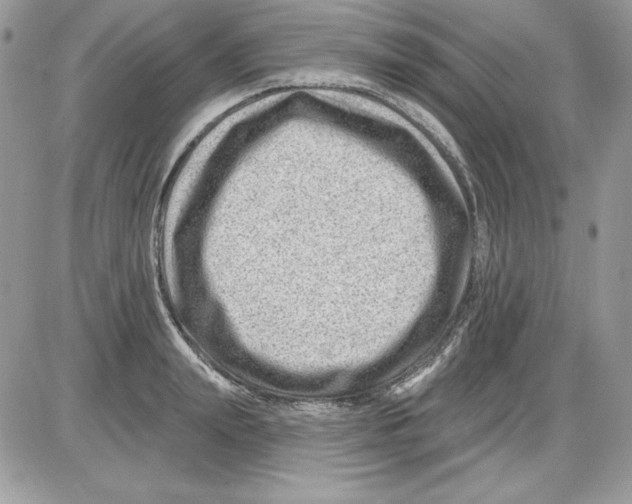 X0000085800847200704131919