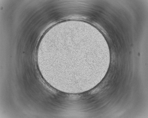 X0000085800848200704131919