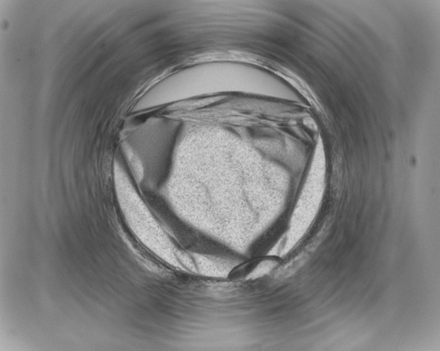 X0000085800849200704131919