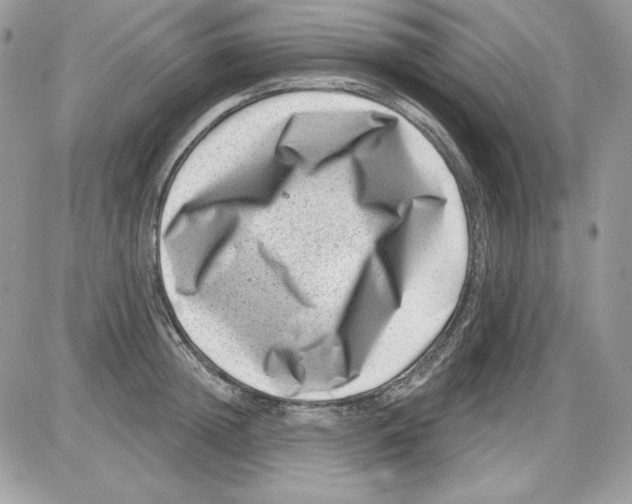 X0000085800852200704131919