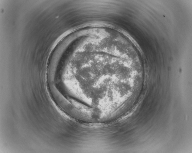 X0000085800853200704131919