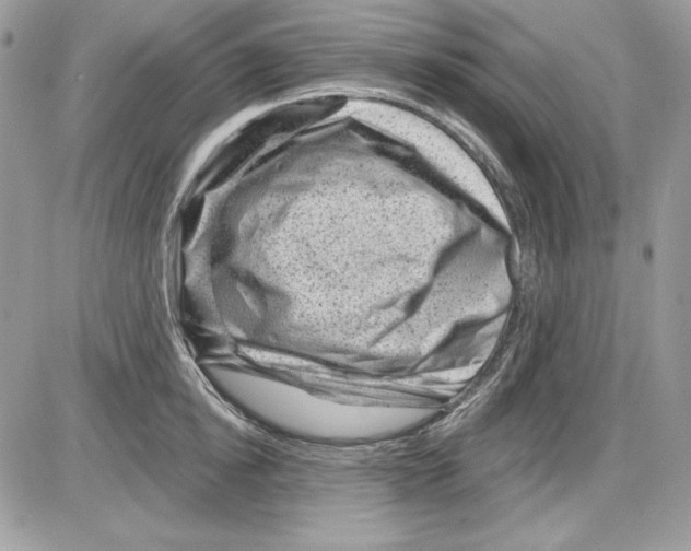 X0000085800854200704131919