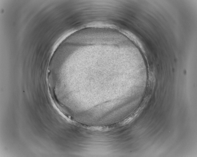 X0000085800855200704131919