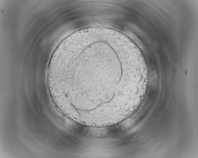 X0000085800856200704131919