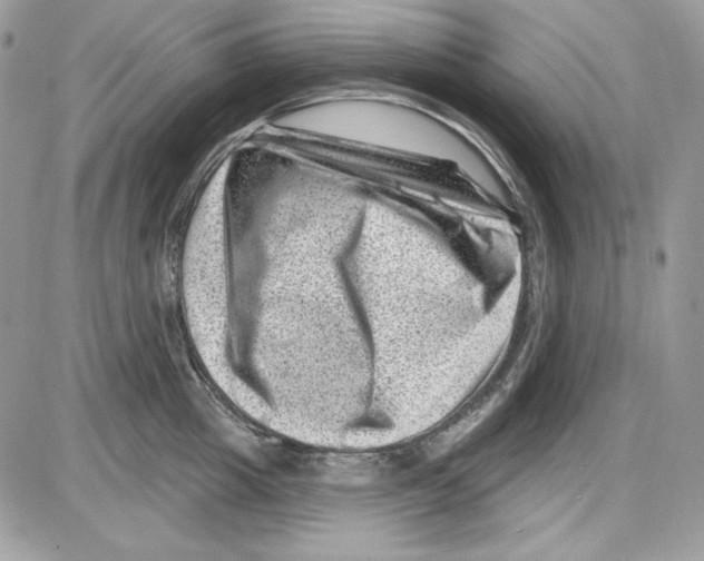 X0000085800857200704131919