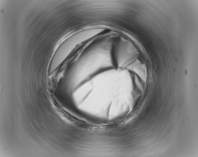 X0000085800858200704131919