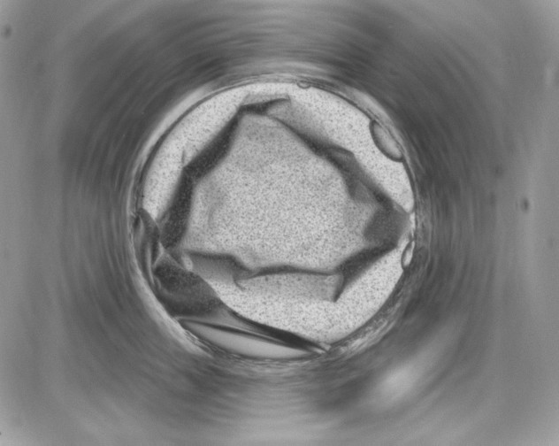 X0000085800859200704131919