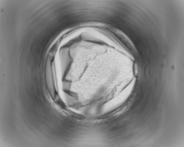 X0000085800860200704131919