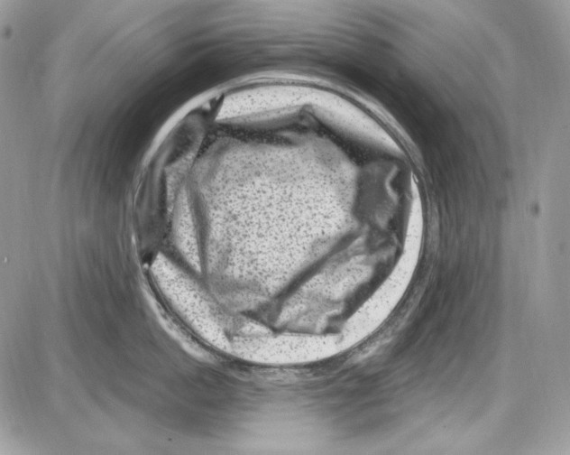 X0000085800862200704131919