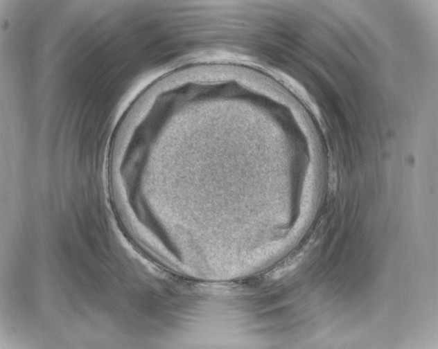 X0000085800863200704131919