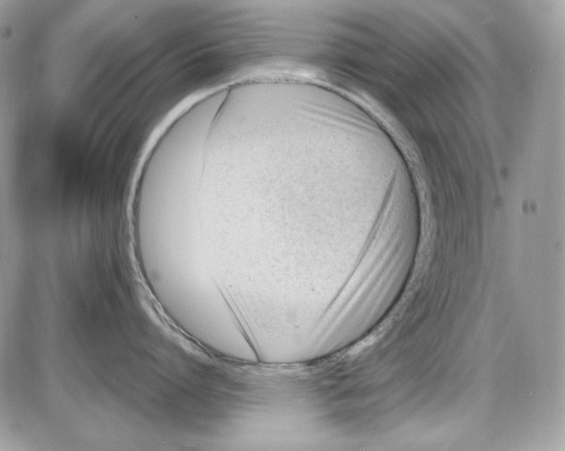 X0000085800864200704131919