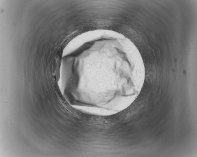 X0000085800866200704131918