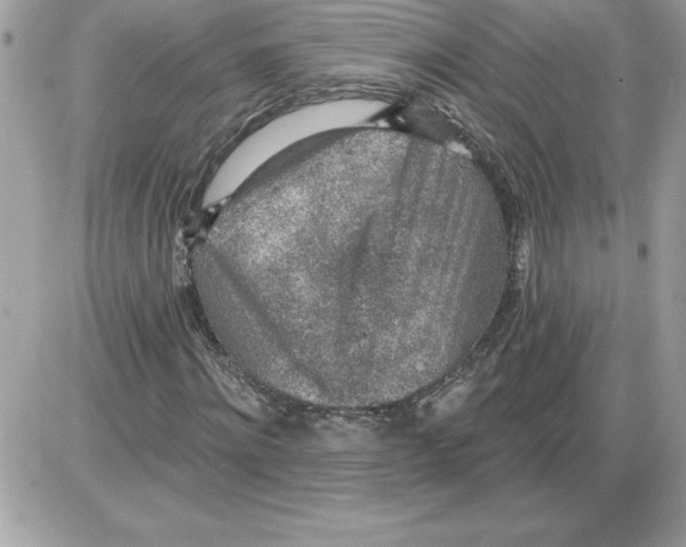 X0000085800868200704131918