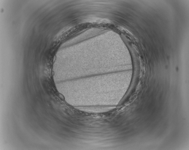 X0000085800869200704131918