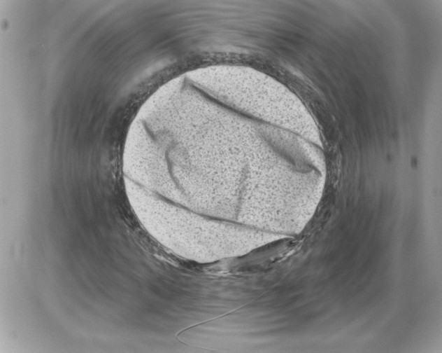 X0000085800870200704131918