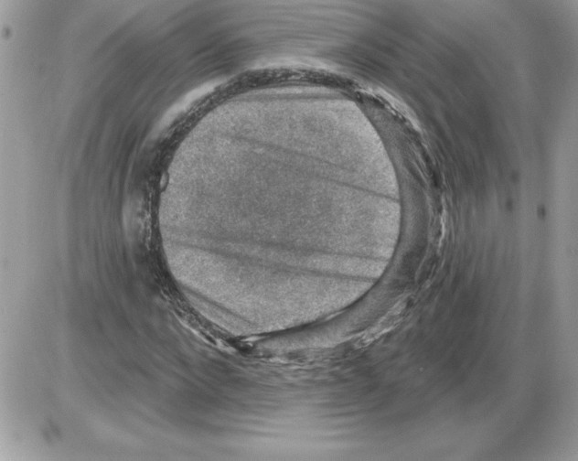 X0000085800872200704131918