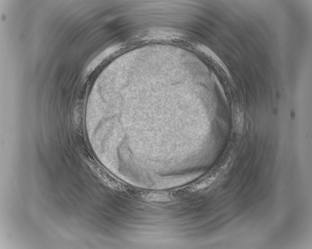 X0000085800874200704131918