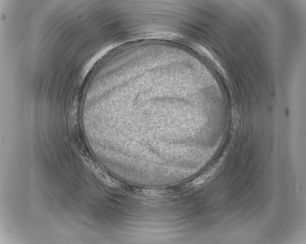 X0000085800875200704131918