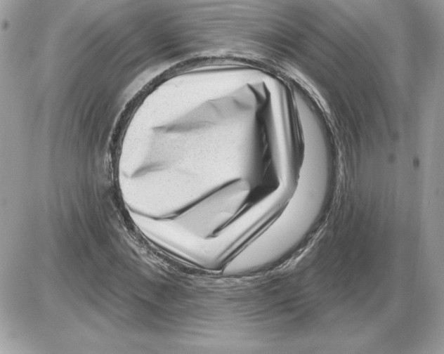 X0000085800876200704131918