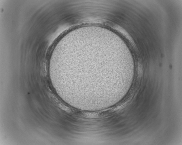 X0000085800878200704131918