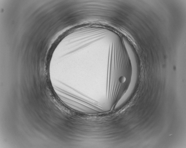 X0000085800880200704131918