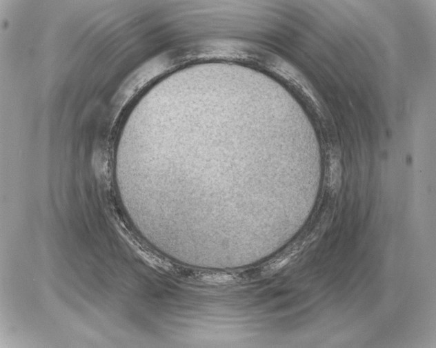 X0000085800882200704131918